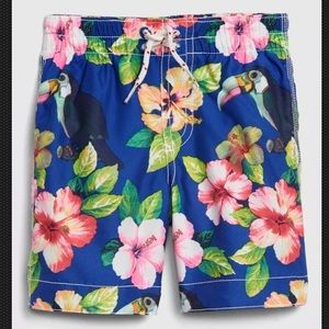 Gap Boys 18 24 M 2T 3T 4T 5T Tropical Swim Shorts